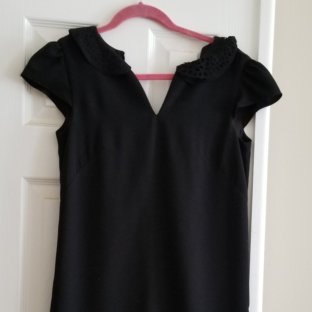 Ann Taylor Loft "Little Black Dress"